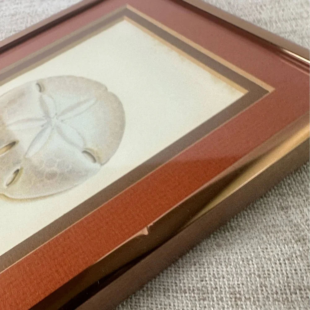 Vintage Framed Sand Dollar Signed Numbered Print Echinarachnius Parma Coastal